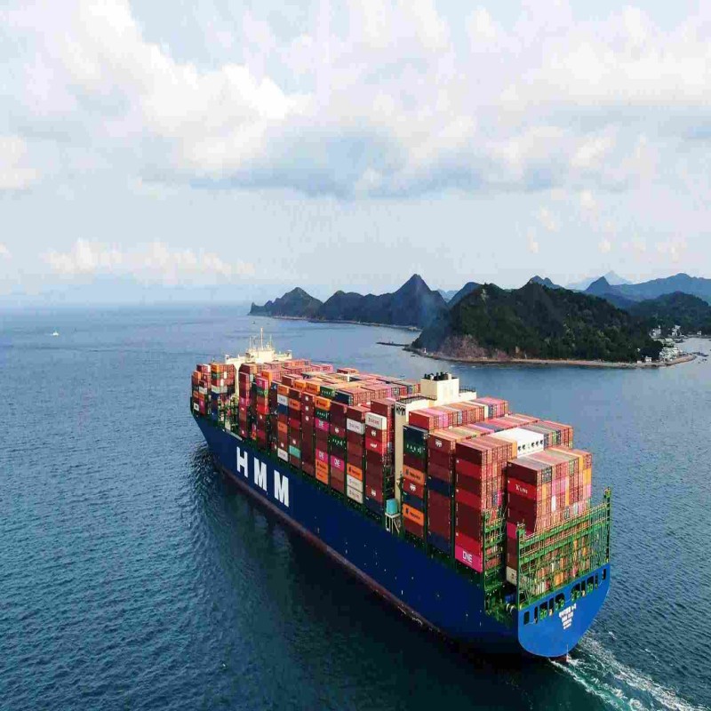 202601273556.jpg 19(1).jpg