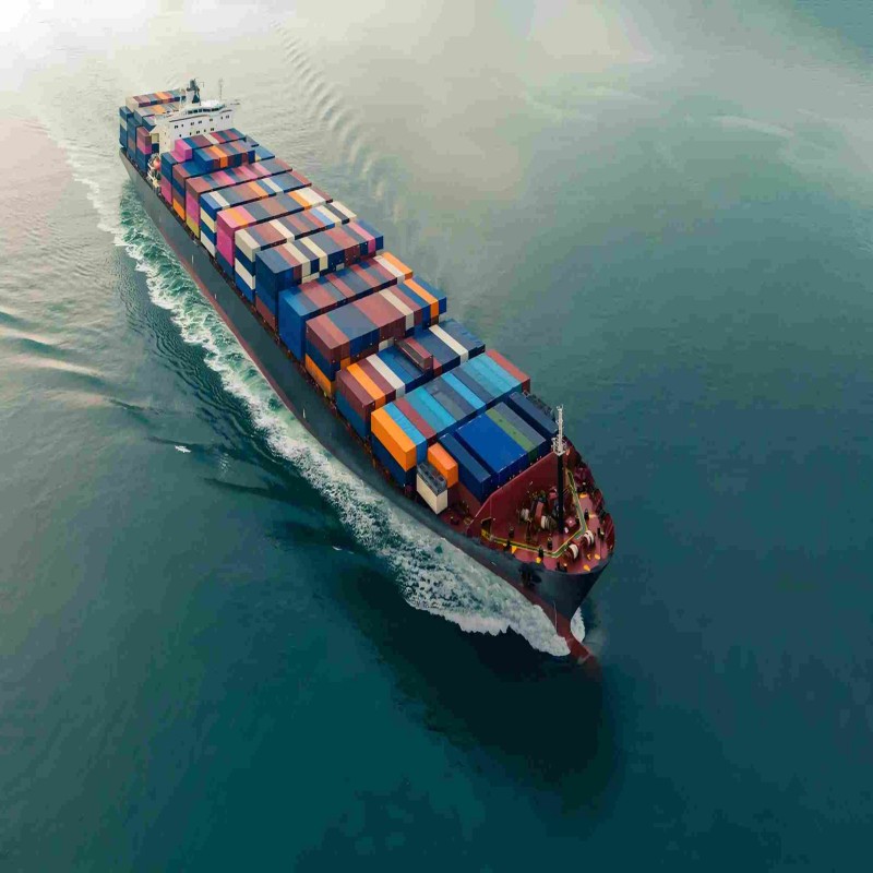 202602021596.jpg 10(1).jpg