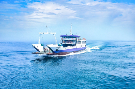 海运货物如果受损或丢失，能索赔吗？