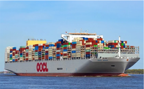 海运中的 “截单”“截关” 是什么意思？