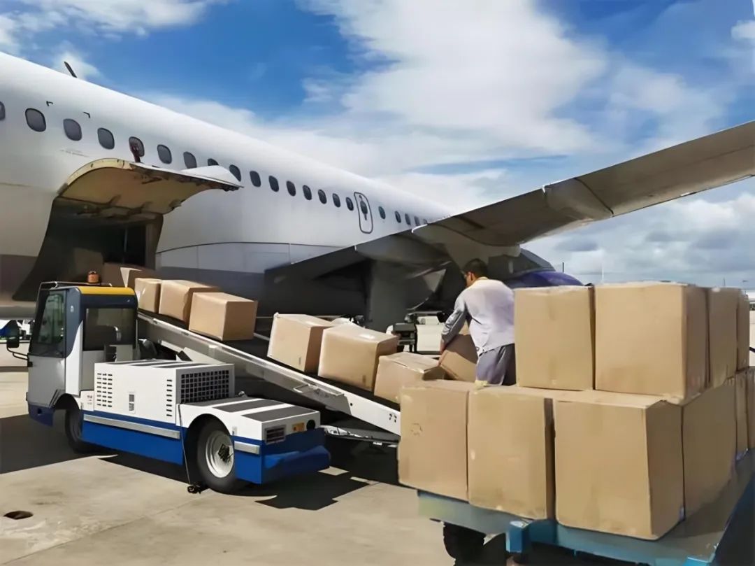 202601078563.jpg 3 (2).jpg